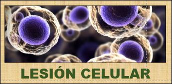 LESION 
